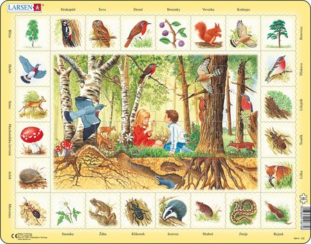 NA4 - Nature Puzzle: Forest