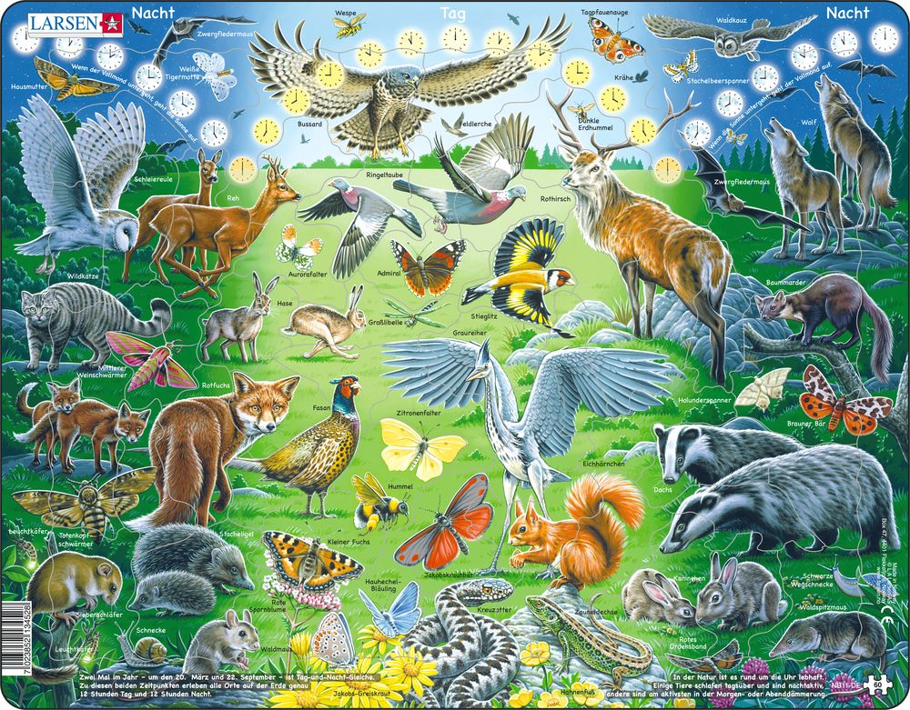 NB11 - Natt og dag (Tysk)