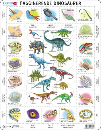 HL9 - Fascinating Dinosaurs