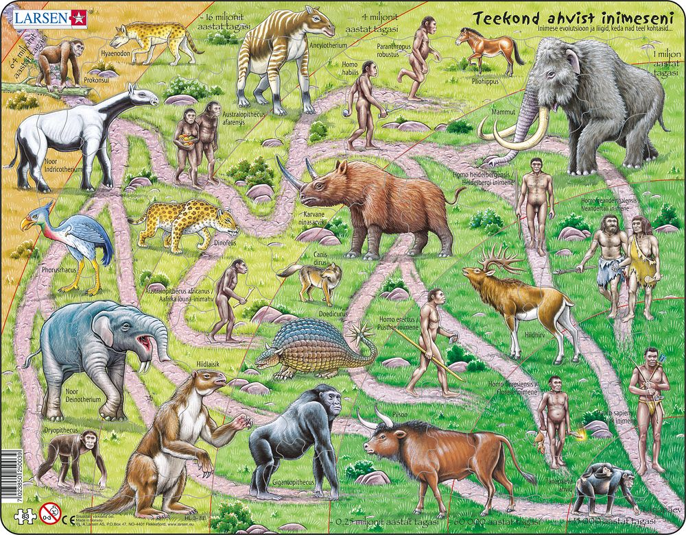 HL3 - Veien fra Ape til Mennesket (Estisk) HL3 - Veien fra Ape til Mennesket (Estisk)