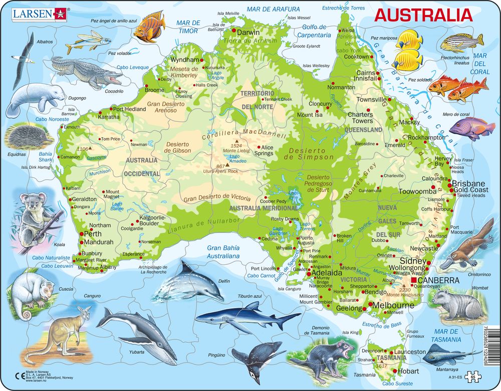 A31 - Australia Topographic Map (Spanish)