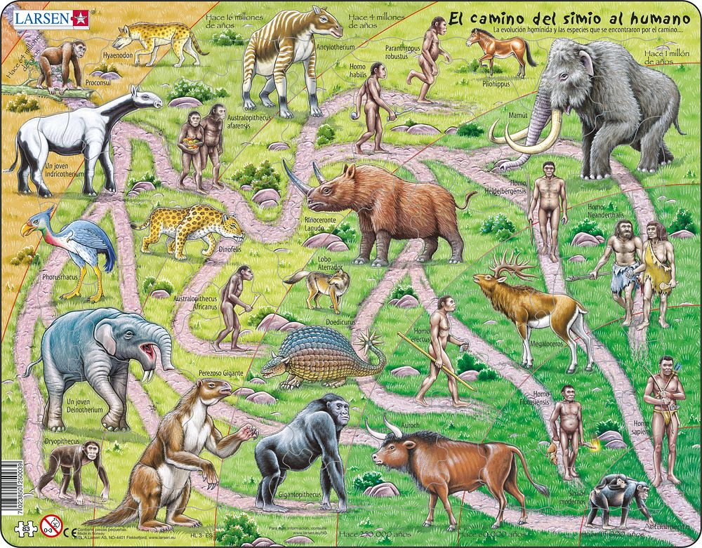 HL3 - Veien fra Ape til Mennesket (Spansk) HL3 - Veien fra Ape til Mennesket (Spansk)