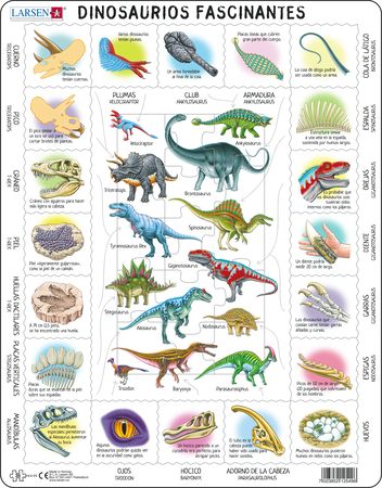 HL9 - Fascinating Dinosaurs