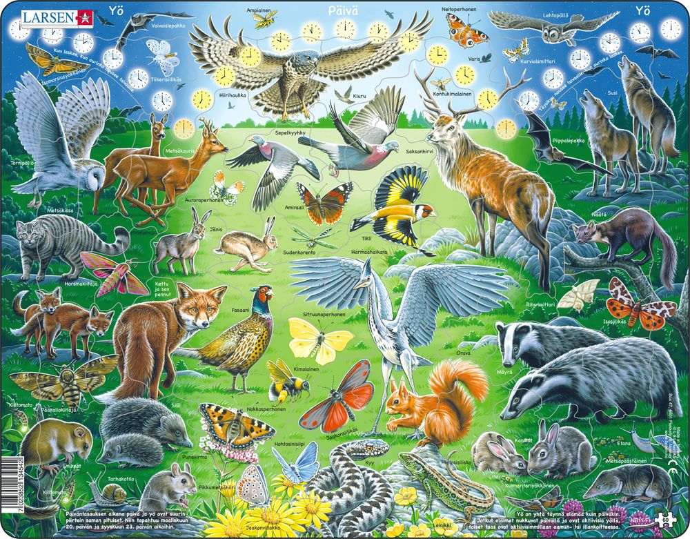 NB11 - Natt og dag (Finsk)