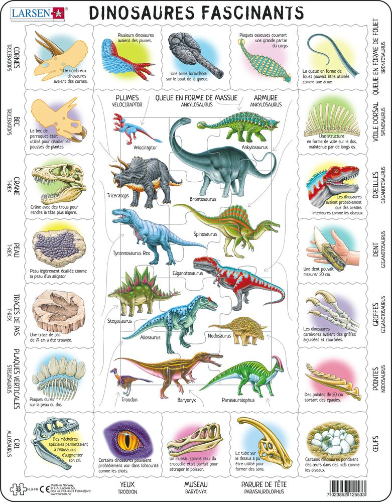 HL9 - Fascinating Dinosaurs (French)
