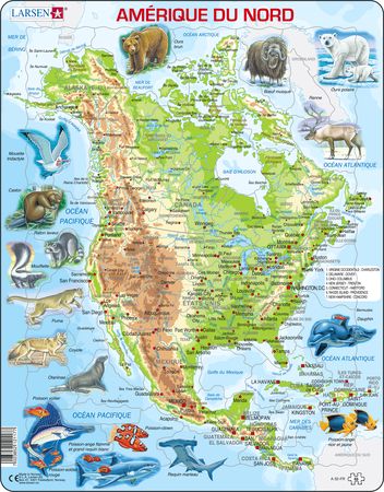 A32 - North America, Topographic map with animals