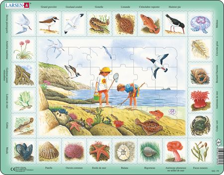 NA2 - Nature Puzzle: Seaside