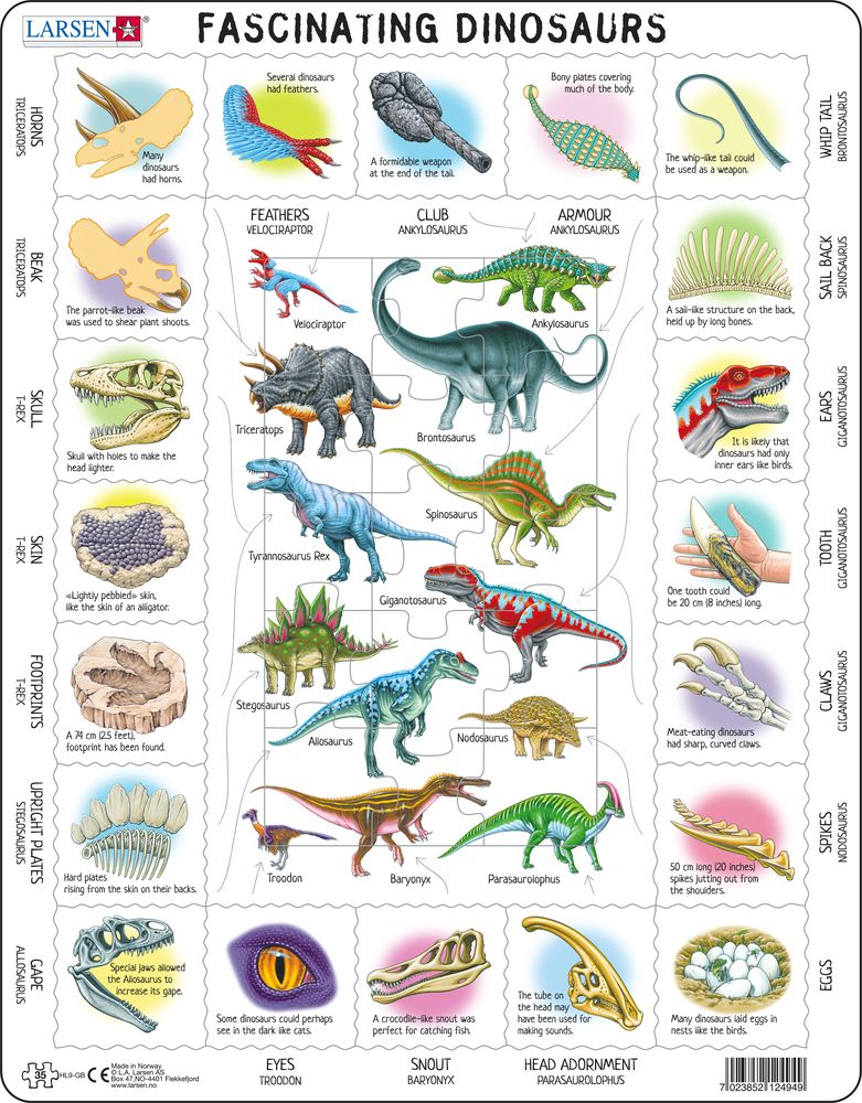 HL9 - Fascinating Dinosaurs (English)