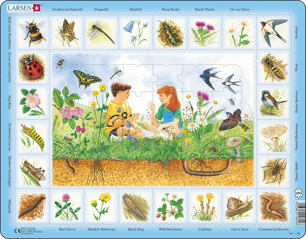 NA1 - Nature Puzzle: Field (English) NA1 - Nature Puzzle: Field (English)