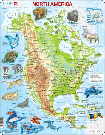 A32 - North America, Topographic map with animals