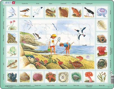 NA2 - Nature Puzzle: Seaside