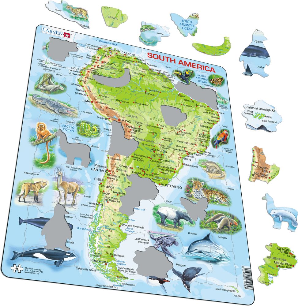 A25 - South America Topographic Map (Illustrative image 1)