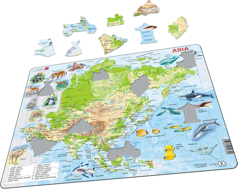 A30 - Asia Topographic Map (Illustrative image 1)