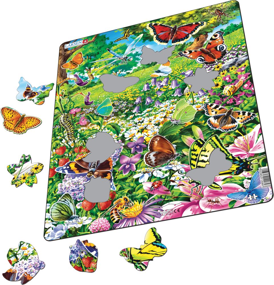 FH28 - Butterflies in a Beautiful Flower Field (Illustrative image 1)