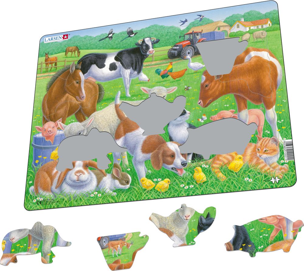 FH35 - Kjæledyr og gårdsdyr (Illustrasjonsbilde 1)