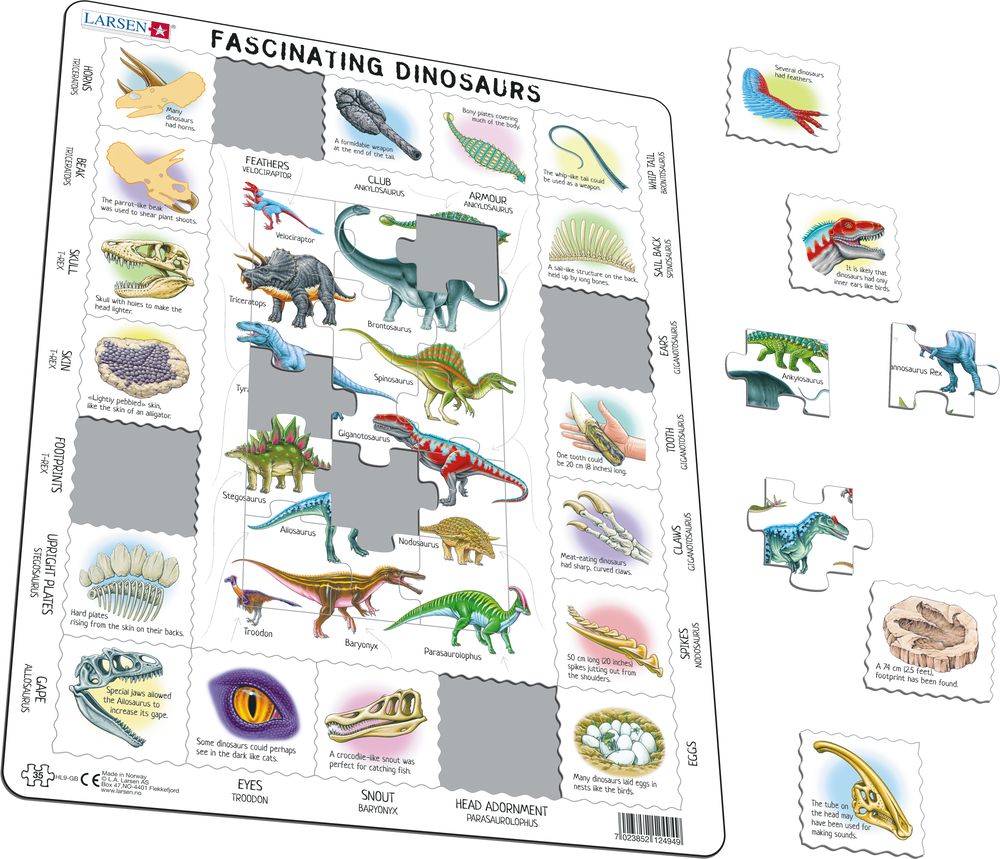 HL9 - Fascinating Dinosaurs (Illustrative image 1)