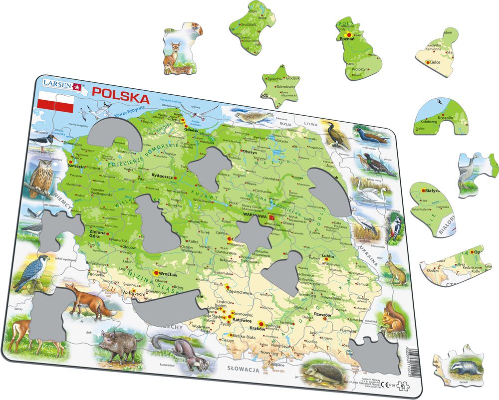 K98 - Poland Physical Map (Illustrative image 1)