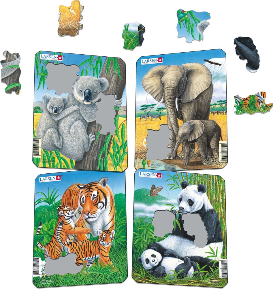 V4 - Koala, Elefant, Tiger, Panda (Illustrasjonsbilde 1)