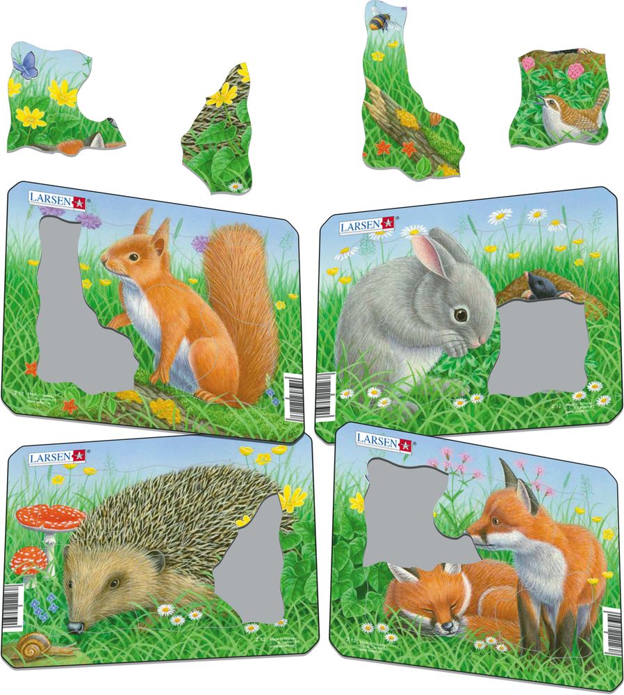 Z12 - Rabbit, Squirrel, Hedgehog, Fox (Illustrative image 1)