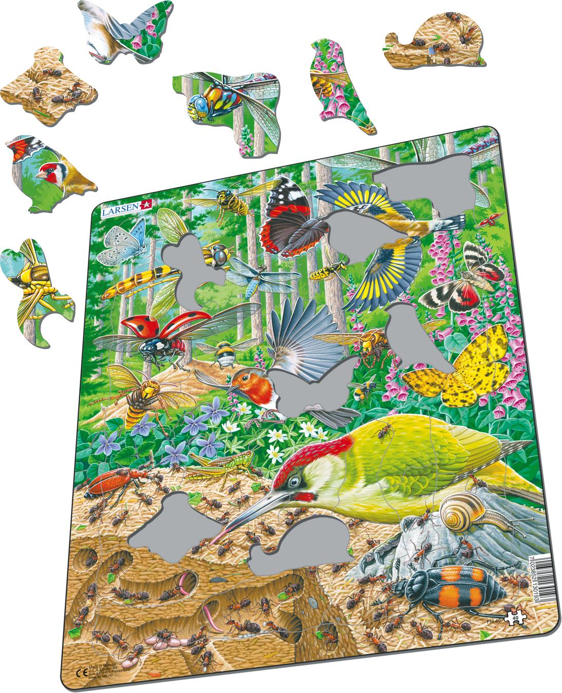 the pathless forest plateau puzzles the pathless forest plateau puzzles