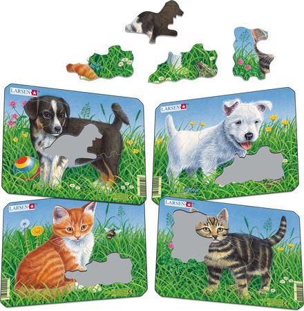 M13 - Cats and Dogs