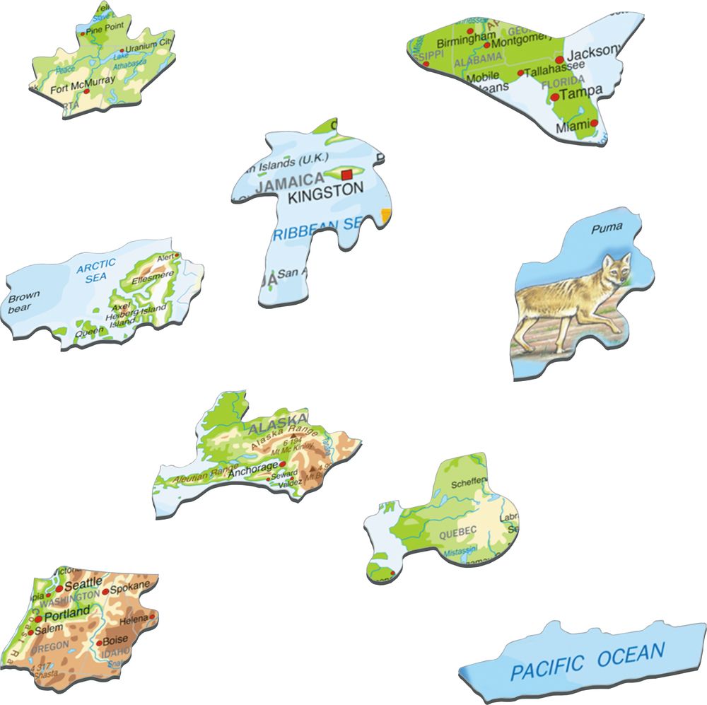 A32 - Nord Amerika med dyr (Illustrasjonsbilde 2)