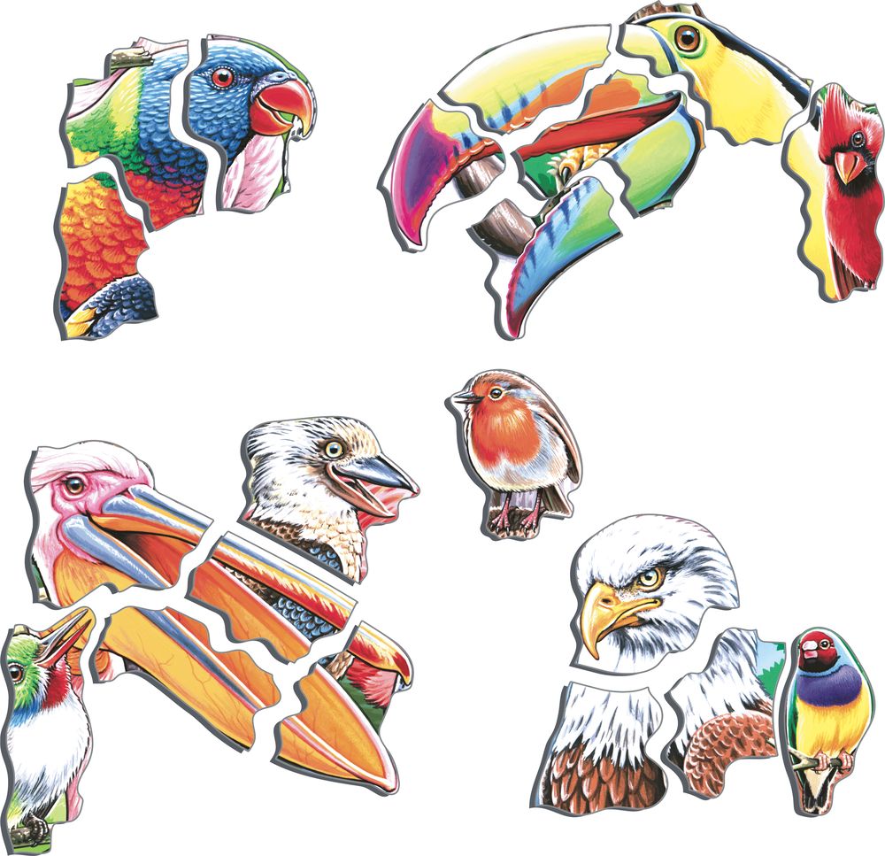 CZ5 - Cheerful birds from all over the world (Illustrative image 2) CZ5 - Cheerful birds from all over the world (Illustrative image 2)