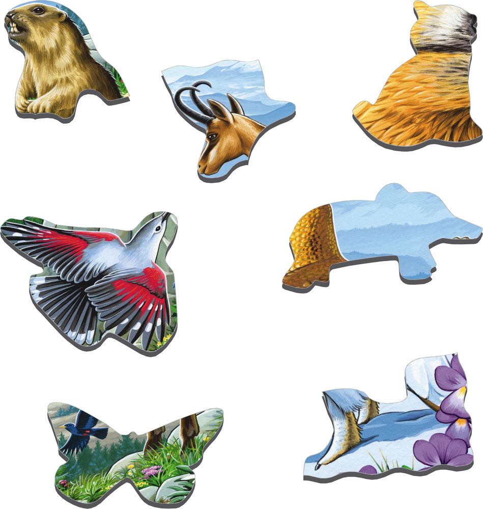 FH12 - Vakker Alpenatur (Illustrasjonsbilde 2)