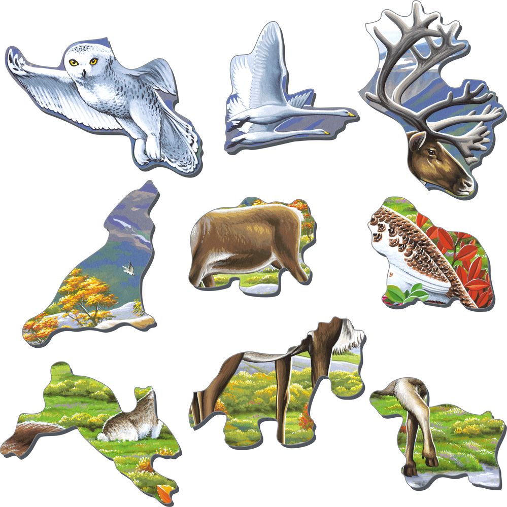 FH14 - Flora and Fauna of the Arctic Tundra (Illustrative image 2) FH14 - Flora and Fauna of the Arctic Tundra (Illustrative image 2)