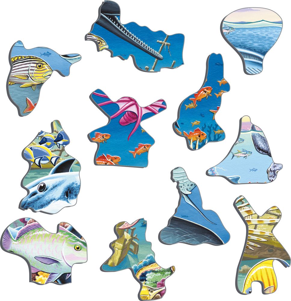 FH20 - Marine Life in the Pacific Ocean (Illustrative image 2) FH20 - Marine Life in the Pacific Ocean (Illustrative image 2)