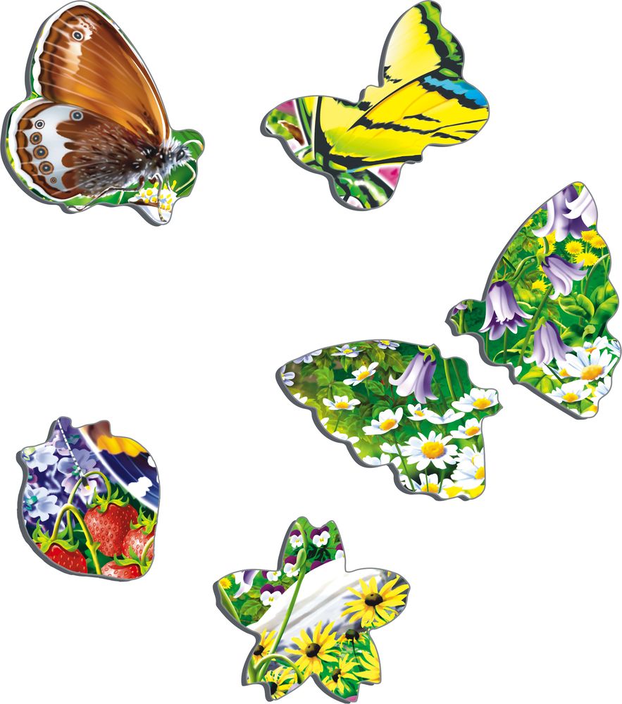 FH28 - Butterflies in a Beautiful Flower Field (Illustrative image 2) FH28 - Butterflies in a Beautiful Flower Field (Illustrative image 2)
