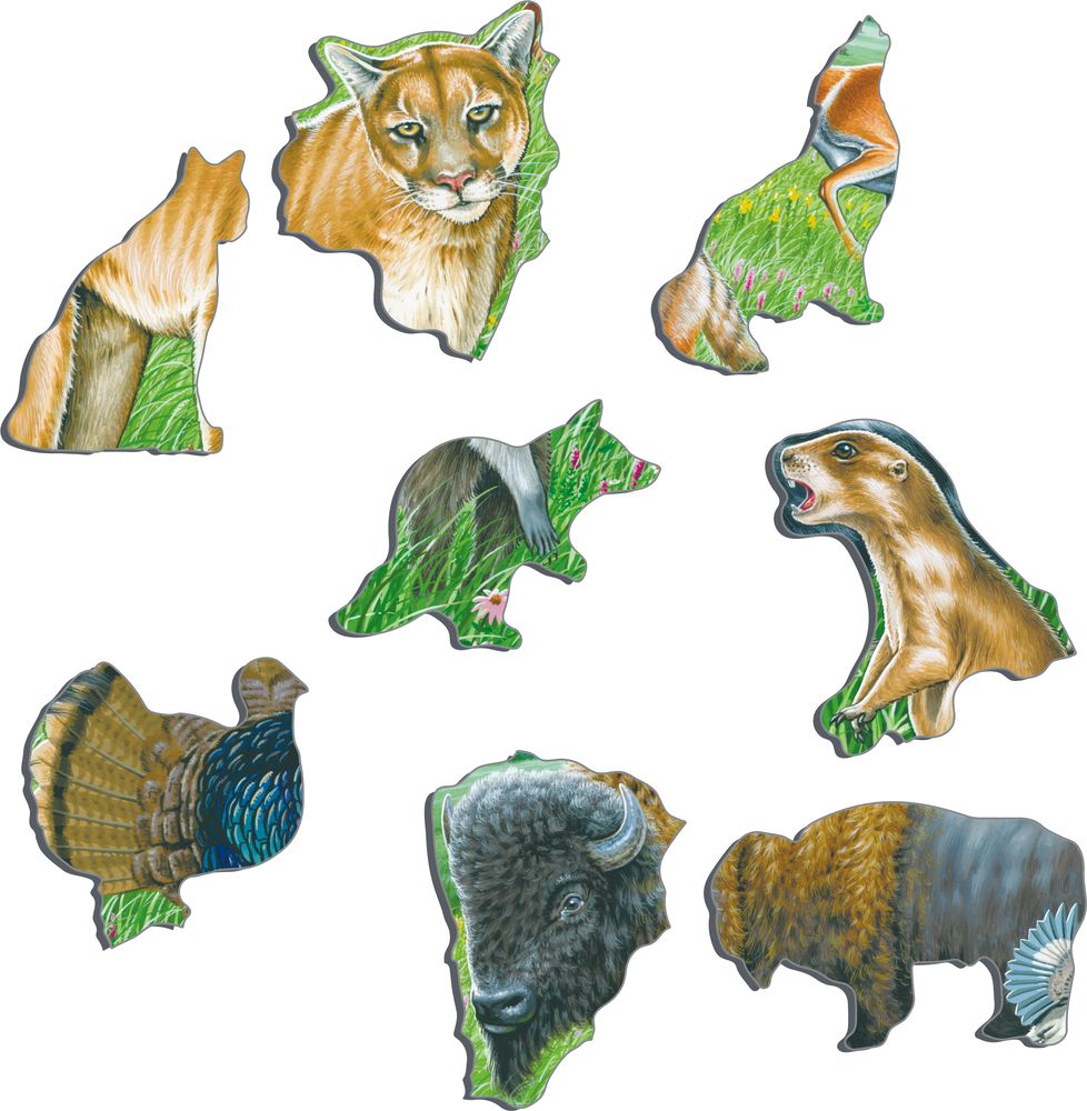 FH40 - Wildlife on the Great American Prairie (Illustrative image 2) FH40 - Wildlife on the Great American Prairie (Illustrative image 2)