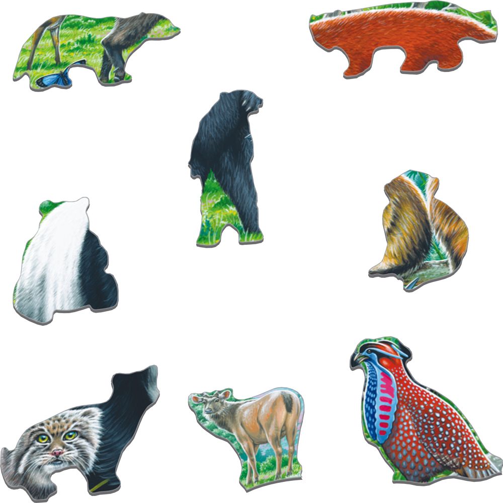 FH43 - Panda Bear Family on a China Mountain Plateau (Illustrative image 2) FH43 - Panda Bear Family on a China Mountain Plateau (Illustrative image 2)