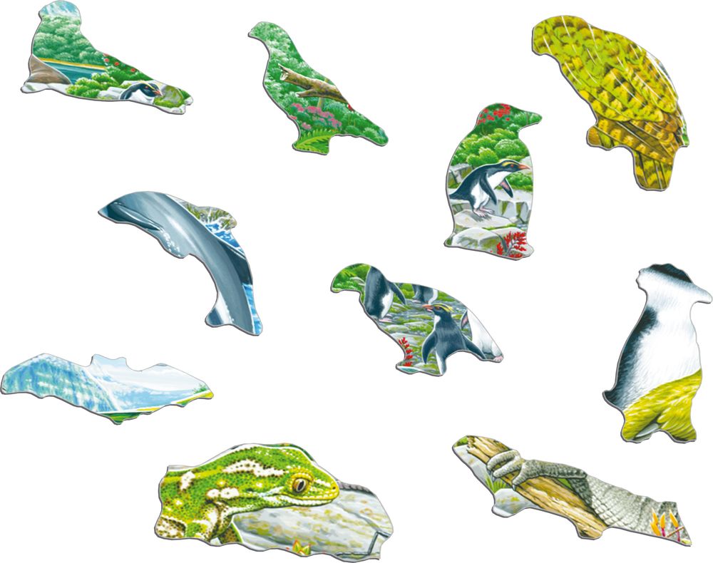 FH44 - New Zealand's Picturesque Wildlife (Illustrative image 2) FH44 - New Zealand's Picturesque Wildlife (Illustrative image 2)