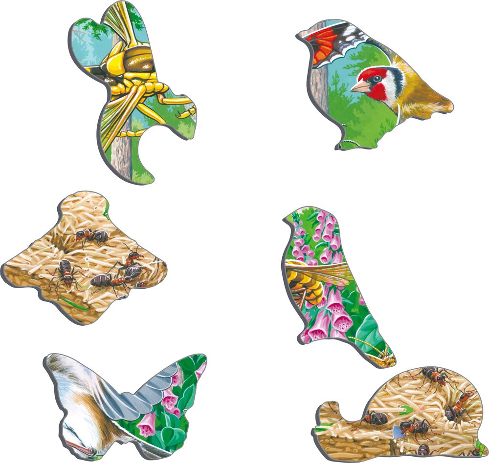 FH46 - Bustling Life on the Forest Floor (Illustrative image 2) FH46 - Bustling Life on the Forest Floor (Illustrative image 2)