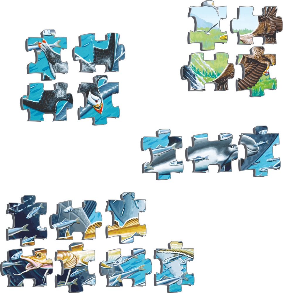 FH47 - Humpback Whales in a School of Herrings (Illustrative image 2) FH47 - Humpback Whales in a School of Herrings (Illustrative image 2)