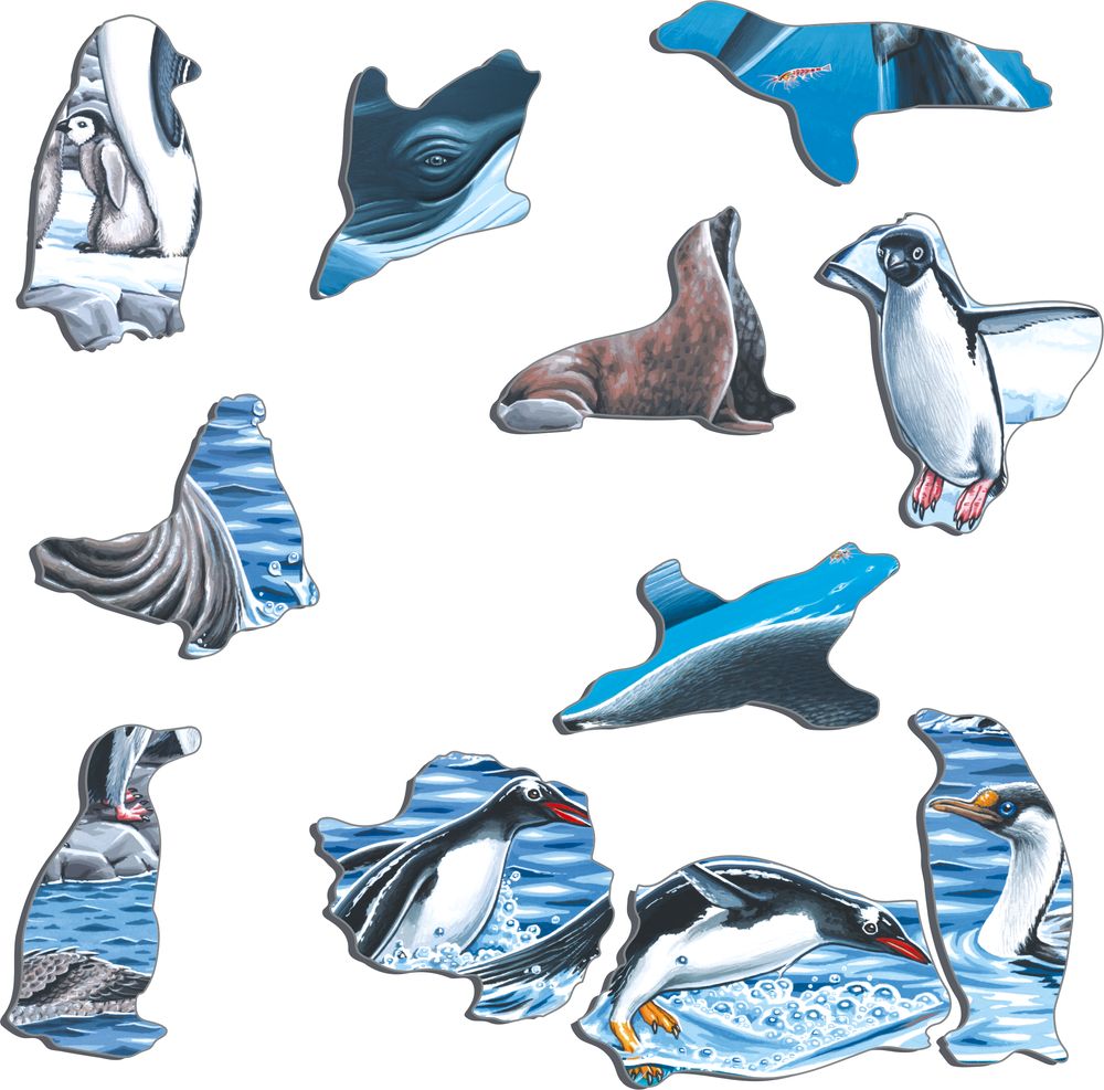 FH48 - The cold and beautiful Antarctica (Illustrative image 2)