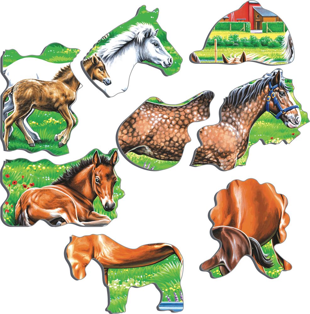 FH50 - Beautiful horses of different breeds, colours and sizes. (Illustrative image 2)