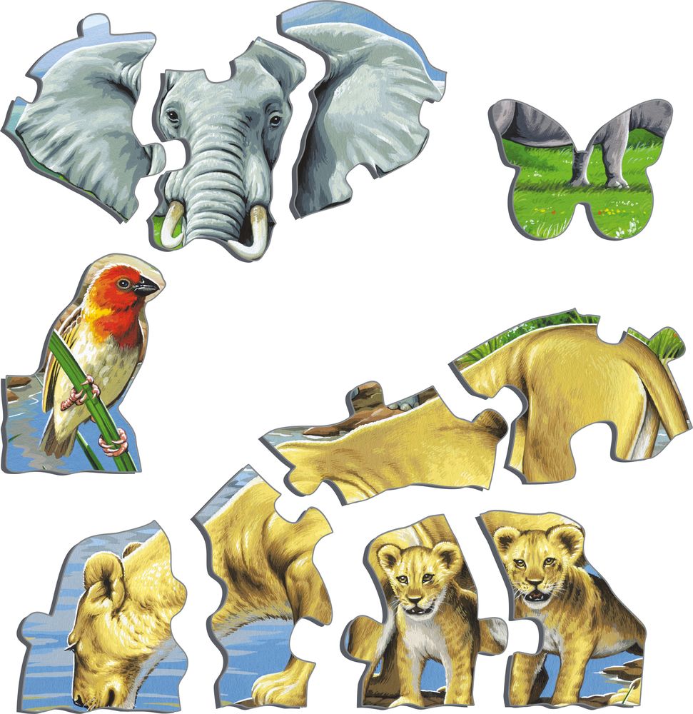 FH9 - Watering Hole on the African Savannah (Illustrative image 2) FH9 - Watering Hole on the African Savannah (Illustrative image 2)