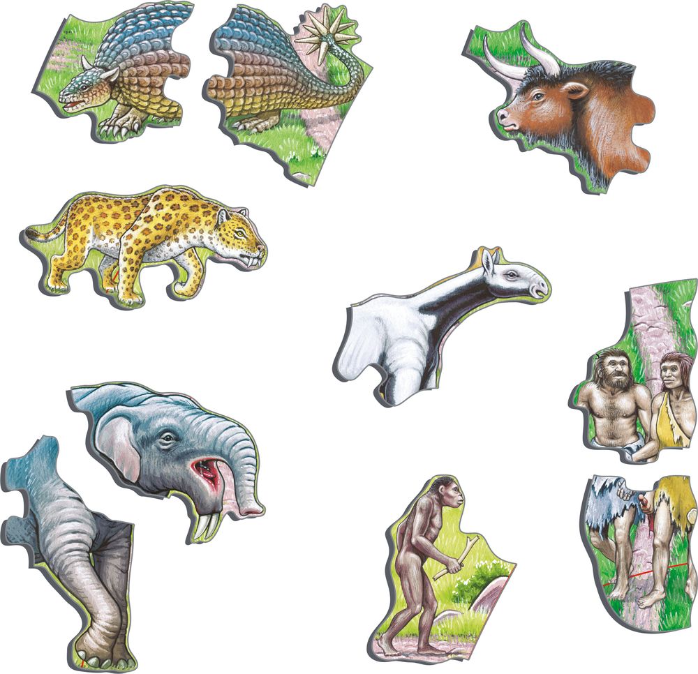 HL3 - Veien fra Ape til Mennesket (Illustrasjonsbilde 2) HL3 - Veien fra Ape til Mennesket (Illustrasjonsbilde 2)