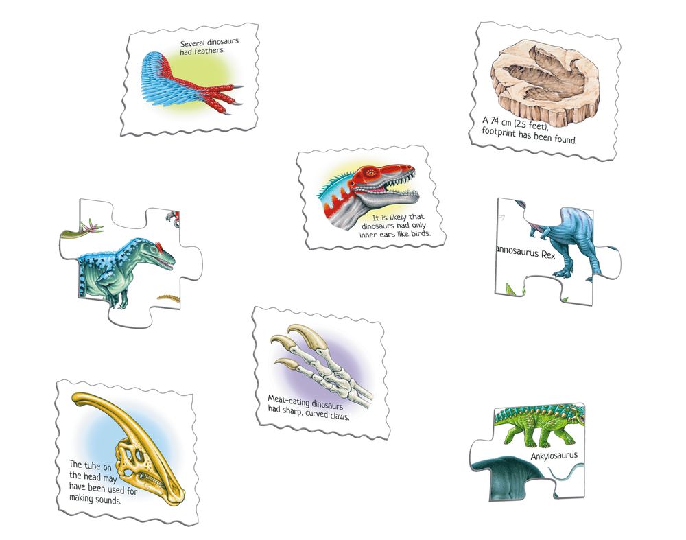 HL9 - Fascinating Dinosaurs (Illustrative image 2)