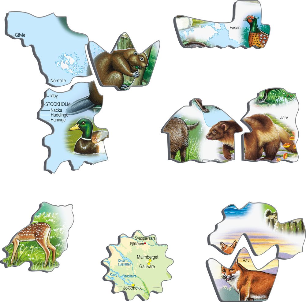 K6 - Sweden Physical Map (Illustrative image 2) K6 - Sweden Physical Map (Illustrative image 2)