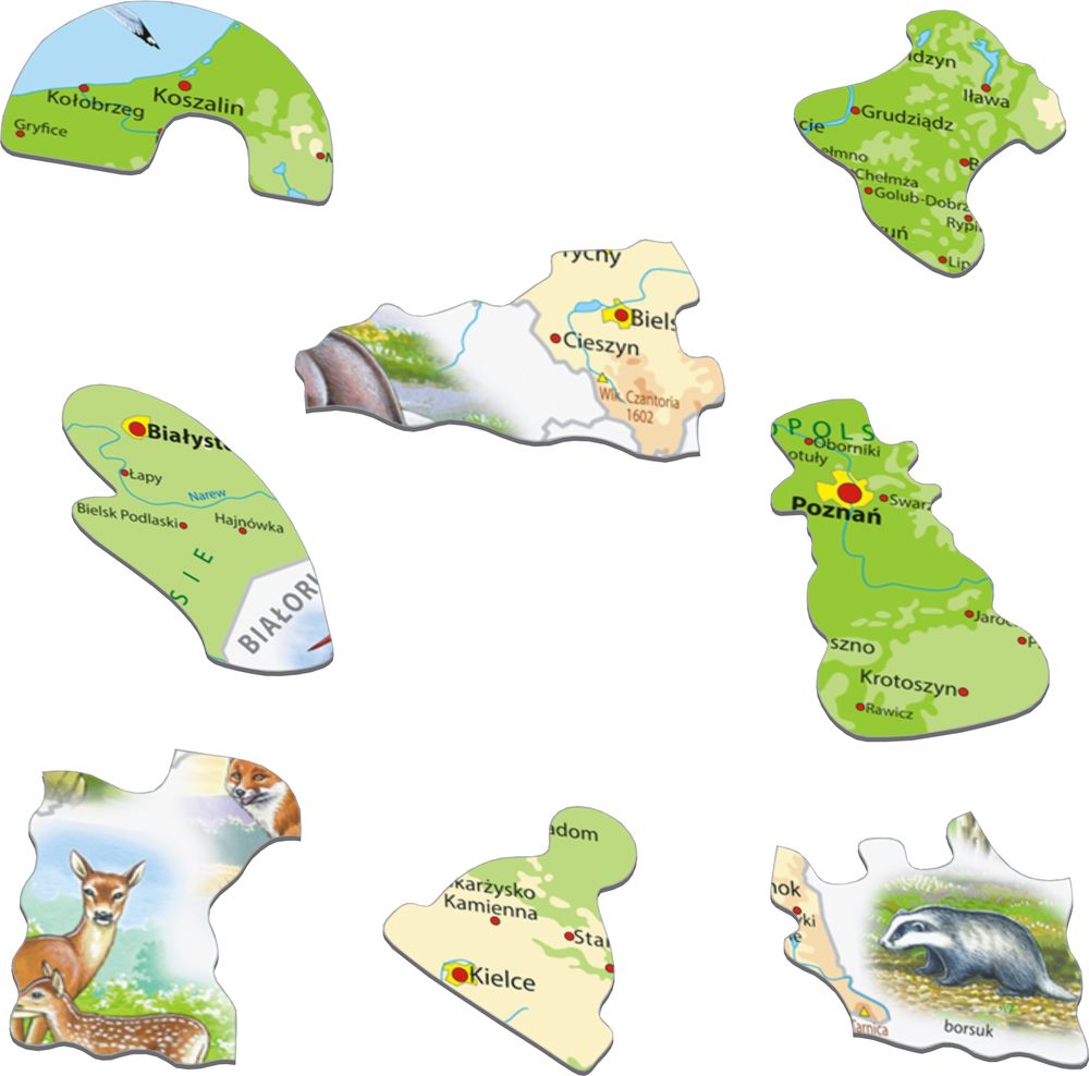 K98 - Poland Physical Map (Illustrative image 2) K98 - Poland Physical Map (Illustrative image 2)
