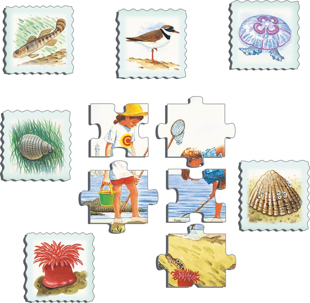 NA2 - Strand (Illustrasjonsbilde 2)