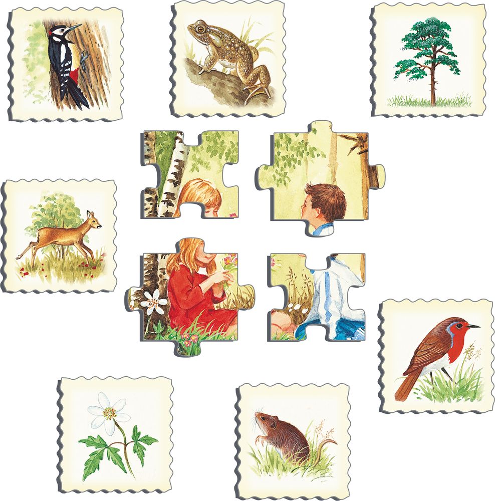 NA4 - Nature Puzzle: Forest (Illustrative image 2) NA4 - Nature Puzzle: Forest (Illustrative image 2)