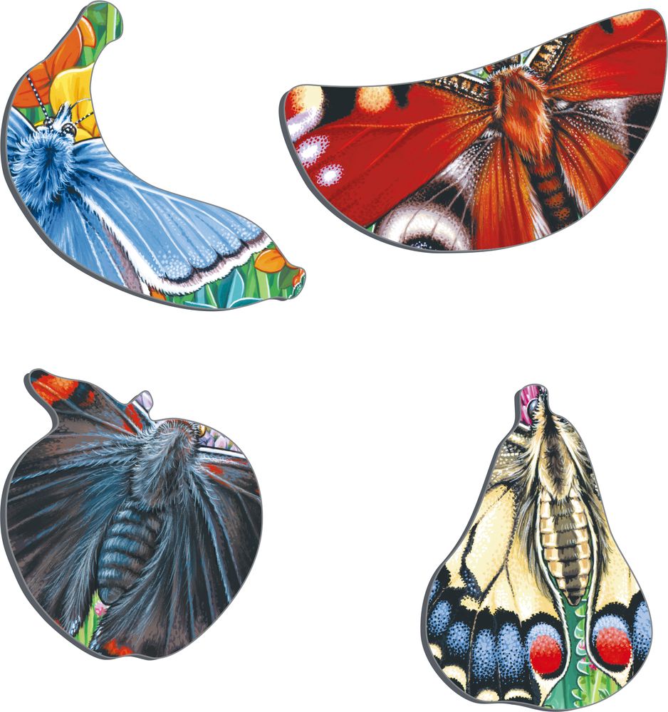 M14 - Butterflies in a flower meadow (Illustrative image 2)