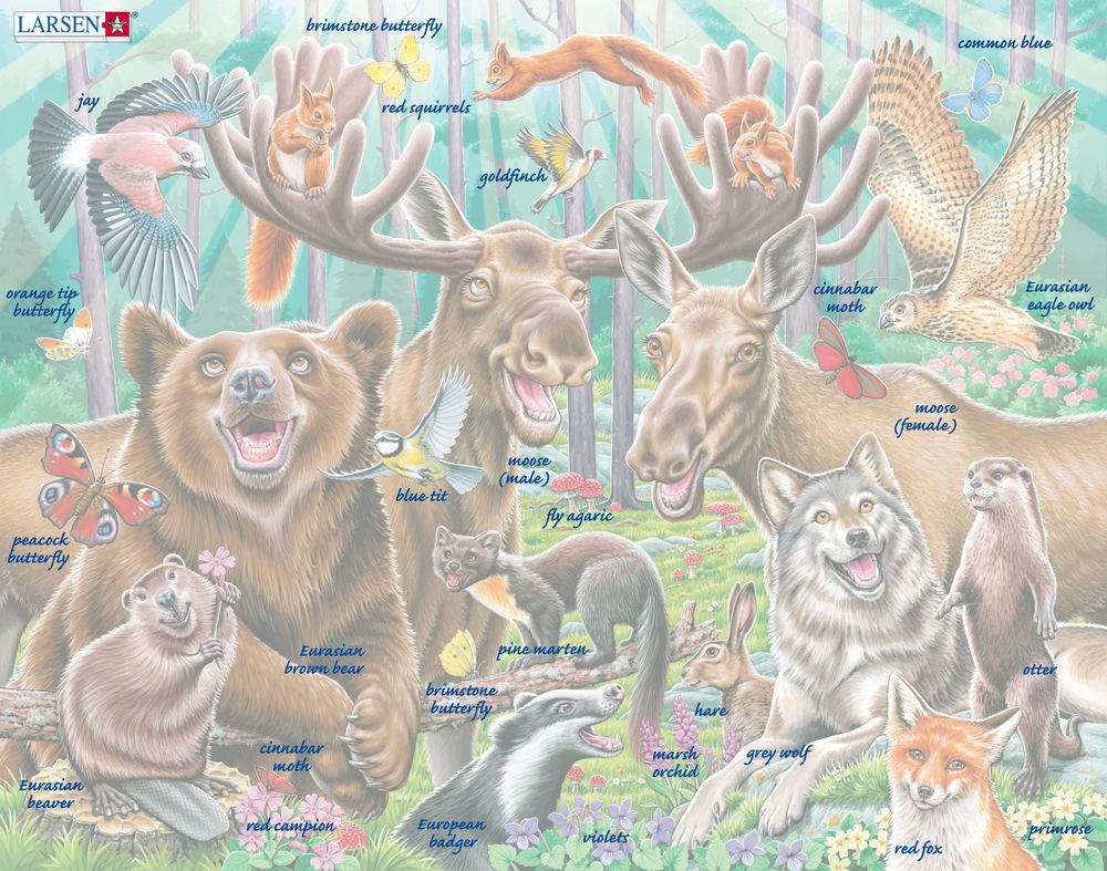 CZ2 - Happy Forest Selfie (Illustrative image 5)