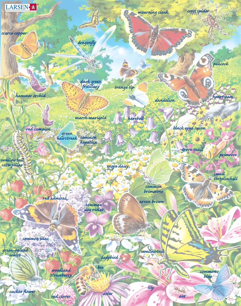 FH28 - Butterflies in a Beautiful Flower Field (Illustrative image 5) FH28 - Butterflies in a Beautiful Flower Field (Illustrative image 5)