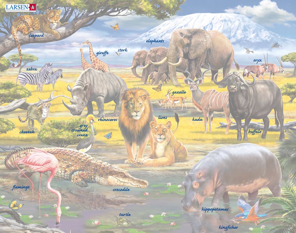 FH30 - Afrikansk savanne med Kilimanjaro i bakgrunnen (Illustrasjonsbilde 5) FH30 - Afrikansk savanne med Kilimanjaro i bakgrunnen (Illustrasjonsbilde 5)