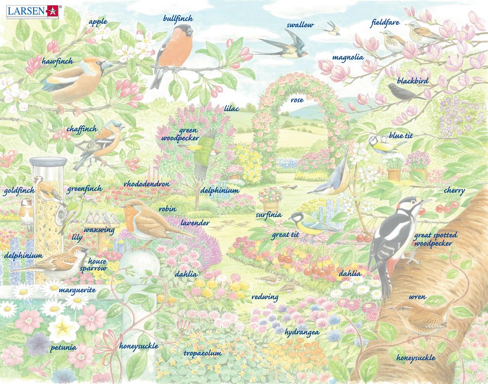 FH37 - Fargerike fugler og blomster i en vakker hage (Illustrasjonsbilde 5) FH37 - Fargerike fugler og blomster i en vakker hage (Illustrasjonsbilde 5)